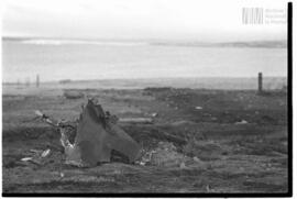 Fotografía relativa a la guerra de Malvinas