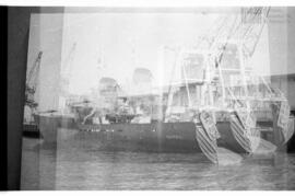 Fotografía relativa a la guerra de Malvinas