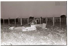 Fotografía de reconocimiento de Lomas del Torito