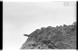 Fotografía de reconocimiento de Lomas del Torito