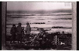 Fotografía relativa a la guerra de Malvinas