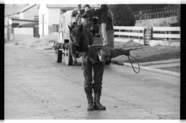 Fotografía relativa a la guerra de Malvinas
