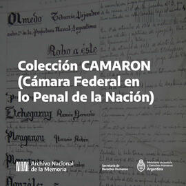 Colección Libros de Causas y Detenciones del CAMARON
