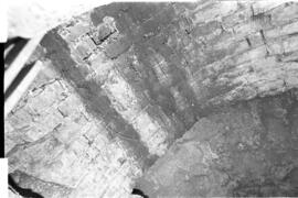 Fotografía de reconocimiento de Lomas del Torito