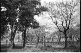 Fotografía de reconocimiento del Centro Clandestino de Detención Campo de Mayo