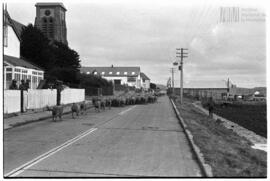 Fotografía relativa a la guerra de Malvinas
