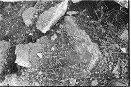 Fotografía de reconocimiento del Centro Clandestino de Detención La Cacha