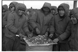 Fotografía relativa a la guerra de Malvinas