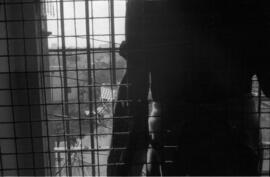 Fotografía de un mujer detenida en la cárcel de Villa Devoto