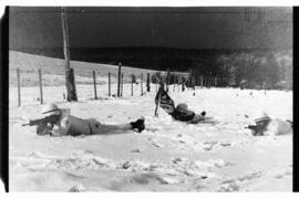 Fotografía relativa a la guerra de Malvinas