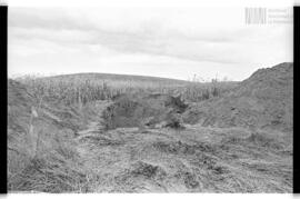 Fotografía de reconocimiento de Lomas del Torito