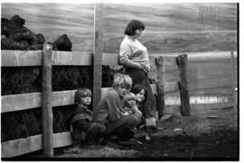 Fotografía relativa a la guerra de Malvinas