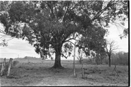 Fotografía de reconocimiento del Centro Clandestino de Detención Campo de Mayo