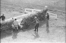 Fotografía de muestra de equitación