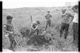 Fotografía de reconocimiento de Lomas del Torito