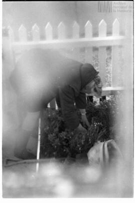 Fotografía relativa a la guerra de Malvinas