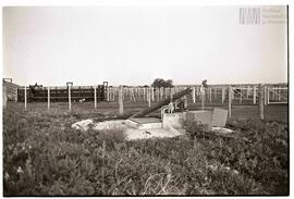 Fotografía de reconocimiento de Lomas del Torito