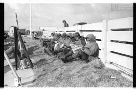 Fotografía relativa a la guerra de Malvinas