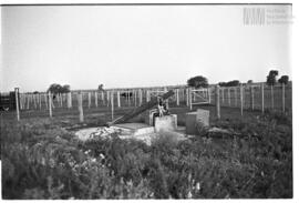 Fotografía de reconocimiento de Lomas del Torito