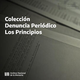 Colección Denuncia Periódico Los Principios