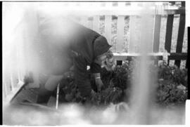 Fotografía relativa a la guerra de Malvinas