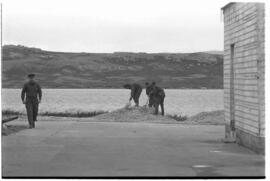 Fotografía relativa a la guerra de Malvinas