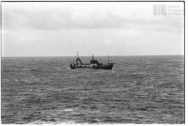 Fotografía relativa a la guerra de Malvinas
