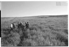 Fotografía de reconocimiento de Lomas del Torito