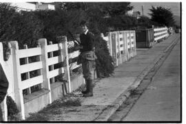 Fotografía relativa a la guerra de Malvinas
