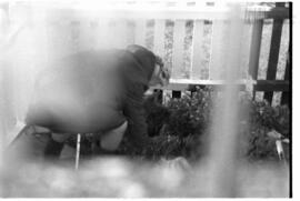 Fotografía relativa a la guerra de Malvinas
