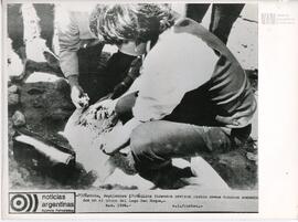 Fotografía de médicos forenses
