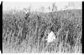 Fotografía de reconocimiento del Centro Clandestino de Detención La Perla
