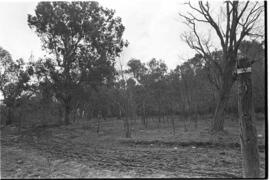Fotografía de reconocimiento del Centro Clandestino de Detención Campo de Mayo