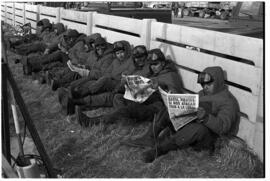 Fotografía relativa a la guerra de Malvinas
