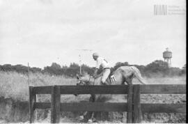 Fotografía de muestra de equitación