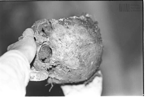 Original Digitaal object not accessible