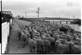 Fotografía relativa a la guerra de Malvinas