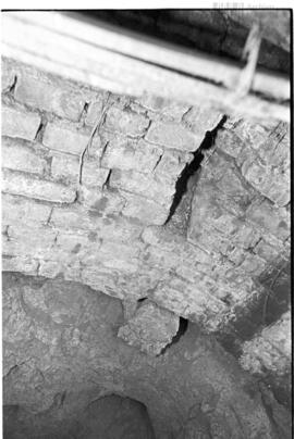 Fotografía de reconocimiento de Lomas del Torito