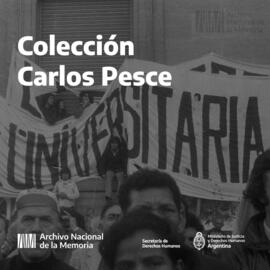 Colección Carlos Pesce