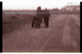 Fotografía relativa a la guerra de Malvinas
