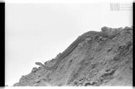 Fotografía de reconocimiento de Lomas del Torito
