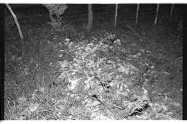Fotografía de reconocimiento de Lomas del Torito