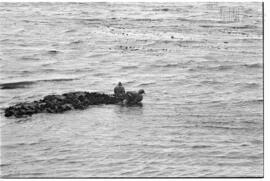 Fotografía relativa a la guerra de Malvinas