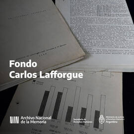 Fondo Carlos Lafforgue