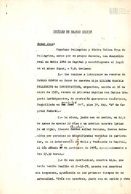 Recurso de Habeas Corpus en favor de Liliana Marcela Pellegrino