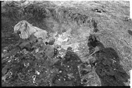 Fotografía de reconocimiento del Centro Clandestino de Detención Campo de Mayo