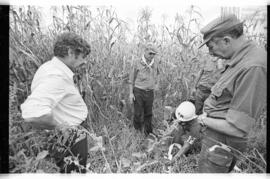 Fotografía de reconocimiento de Lomas del Torito