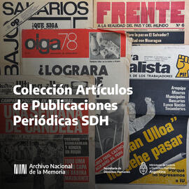 Colección Artículos de Publicaciones Periódicas SDH