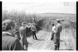 Fotografía de reconocimiento de Lomas del Torito