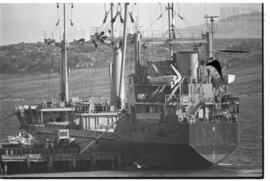 Fotografía relativa a la guerra de Malvinas
